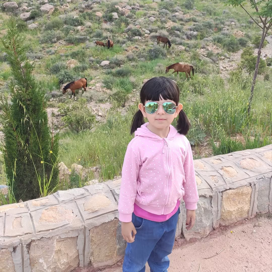 تنخور سویشرت